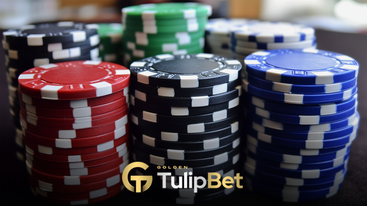 Tulipbet canlı casino