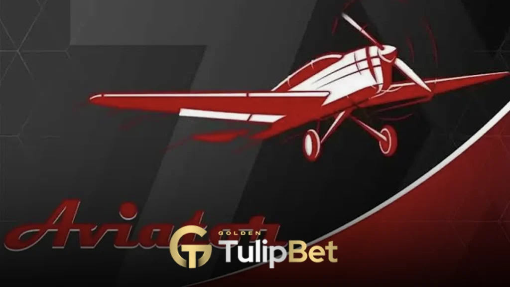 Tulipbet Aviator Oyunu